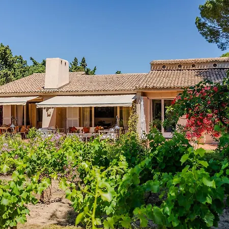 Les Vignes Basses - Tropez