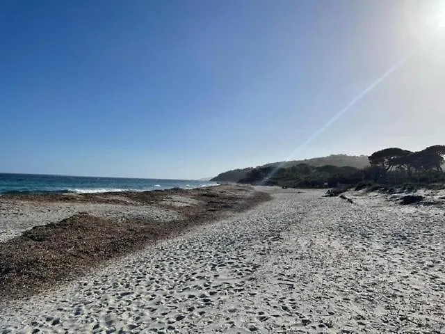 Les Vignes Basses - Tropez