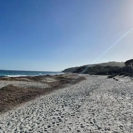 Les Vignes Basses - Tropez