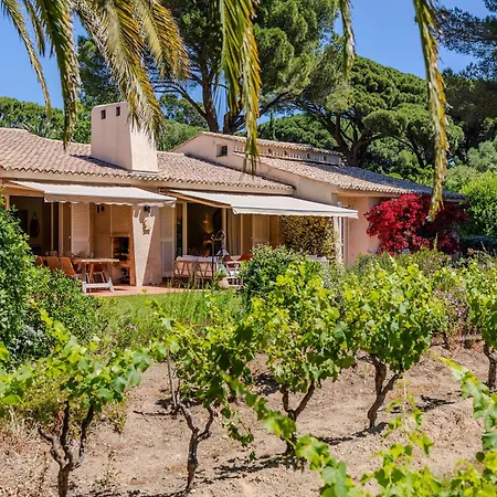 Les Vignes Basses - Tropez * Saint-Tropez