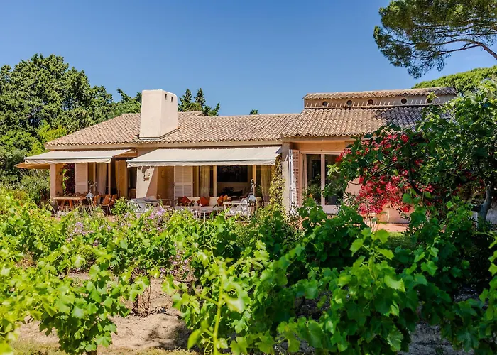 Les Vignes Basses - Tropez